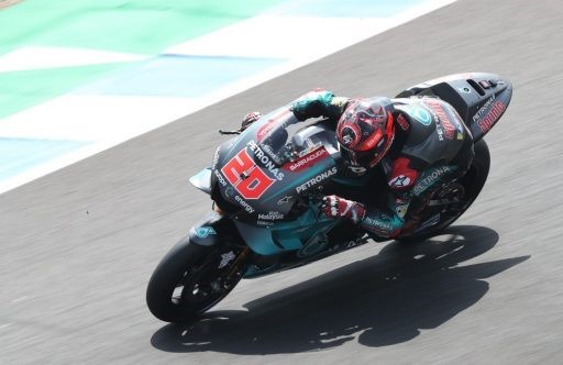 fabio quartararo, yamaha, motogp