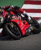 Ducati Davies Laguna Seca