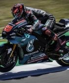 quartararo, motogp