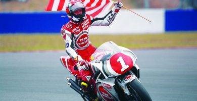 Schwantz