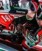 Michele Pirro Álvaro Bautista Márquez WorldSBK MotoGP Honda Ducati