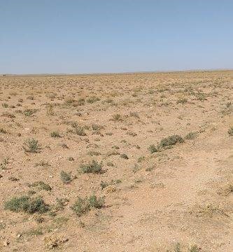 Imagen: Jesús Gutiérrez