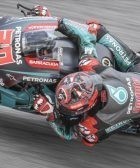 Quartararo Yamaha MotoGP