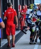 Avintia