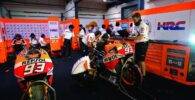 Carlo Luzzi honda hoc