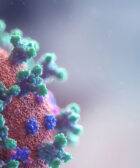 Imagen simulada de un virus al microscopio