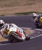 schwantz gardner