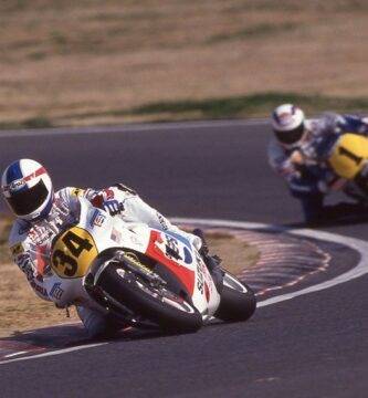 schwantz gardner
