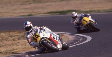 schwantz gardner