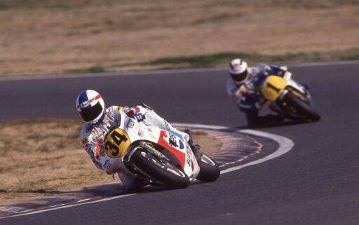 schwantz gardner