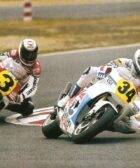 Schwantz Rainey