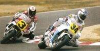 Schwantz Rainey