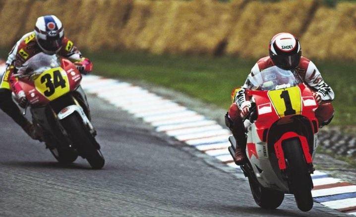 Rainey Schwantz