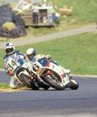 Schwantz Rainey