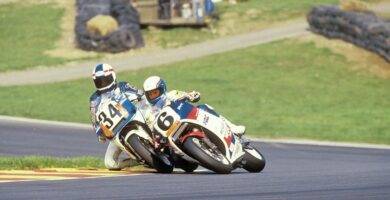 Schwantz Rainey