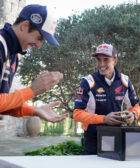 alex marquez, arc, motogp