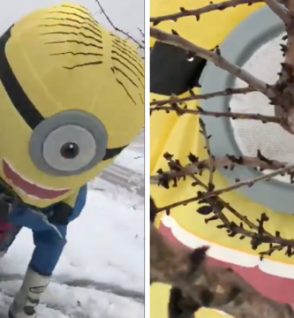 álex márquez, honda