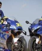 motogp, suzuki, joan mir