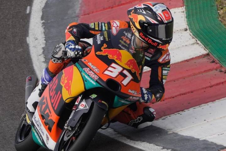 Pedro Acosta Moto3