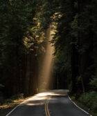 Una carretera iluminada por un rayo de luz