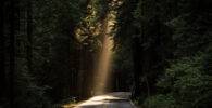 Una carretera iluminada por un rayo de luz