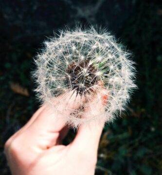 como evitar la alergia en moto