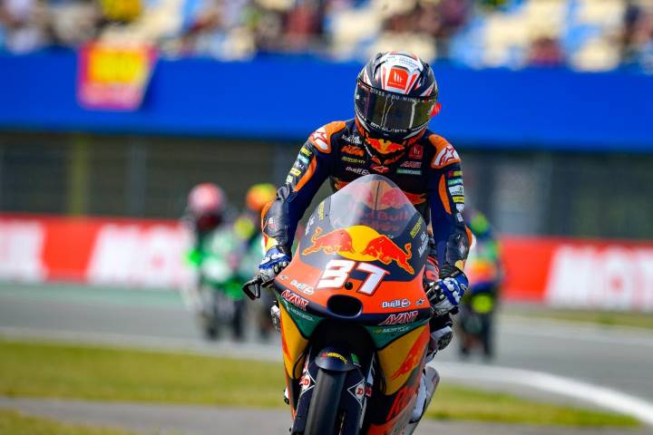 Pedro Acosta MotoGP Honda
