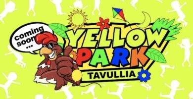 yellow park, motogp