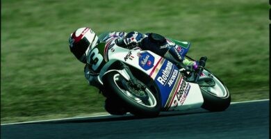 Luca Cadalora MotoGP 500cc