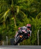 márquez