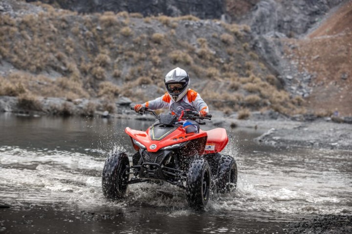 CFMOTO CFORCE 110