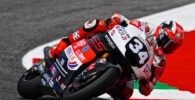 Mattia Pasini