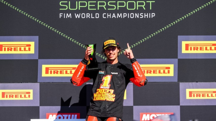 Bulega