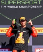 Bulega