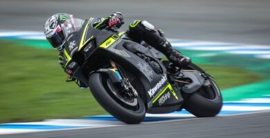 Kawasaki Alex Lowes WorldSBK Rea Bassani
