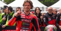 Bulega