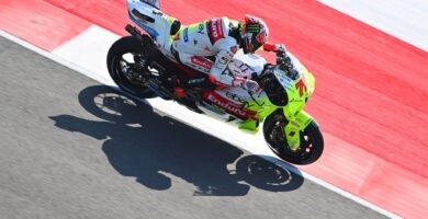 Marco Bezzecchi MotoGP Pecino