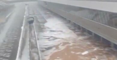 Jerez MotoGP GP España