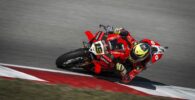 Álvaro Bautista Ducati Portimao WorldSBK
