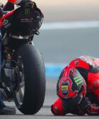 Bulega
