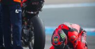 Bulega