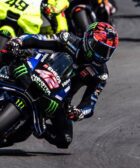 Rins