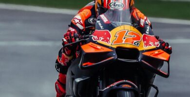 Vi&ntilde;ales sepang test